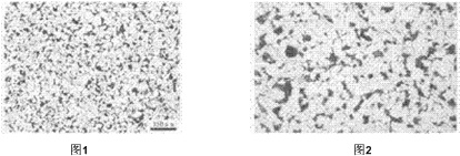 籃式過濾器法蘭 籃式過濾器法蘭